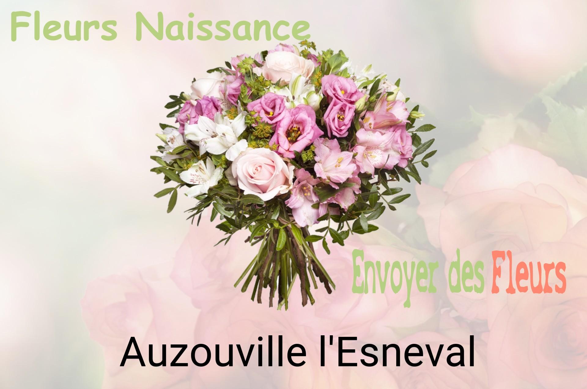 Bouquet de fleurs de naissance livré à Auzouville-l'Esneval